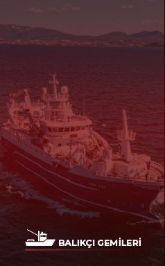 balıkçı gemileri